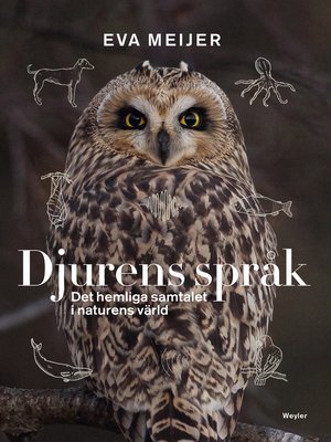 cover image of Djurens språk